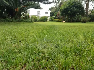 Furnished 5bdrm Mansion in New Muthaiga Mall for sale