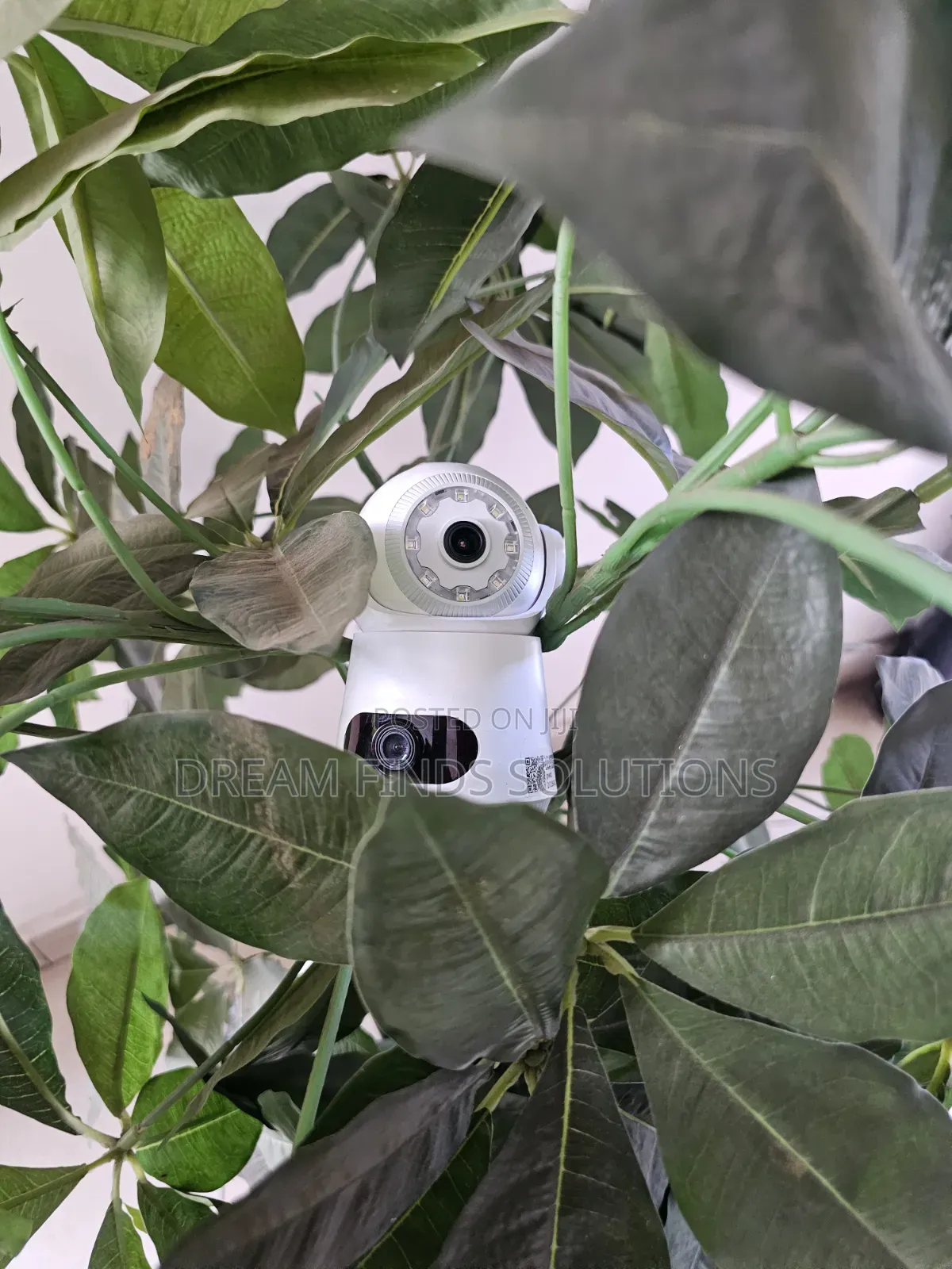 Nanny Cam/Business Security