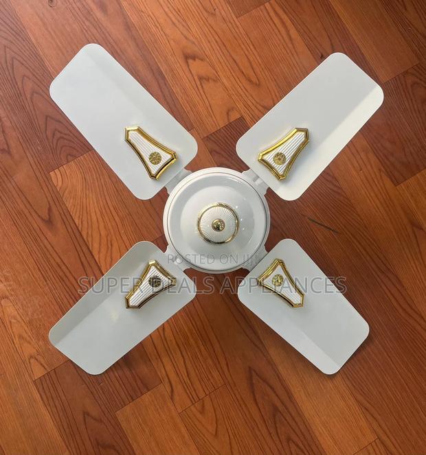 Roch 24 Inches Ceiling Fan