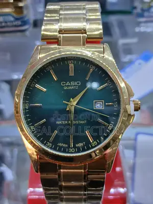 Casio Watch