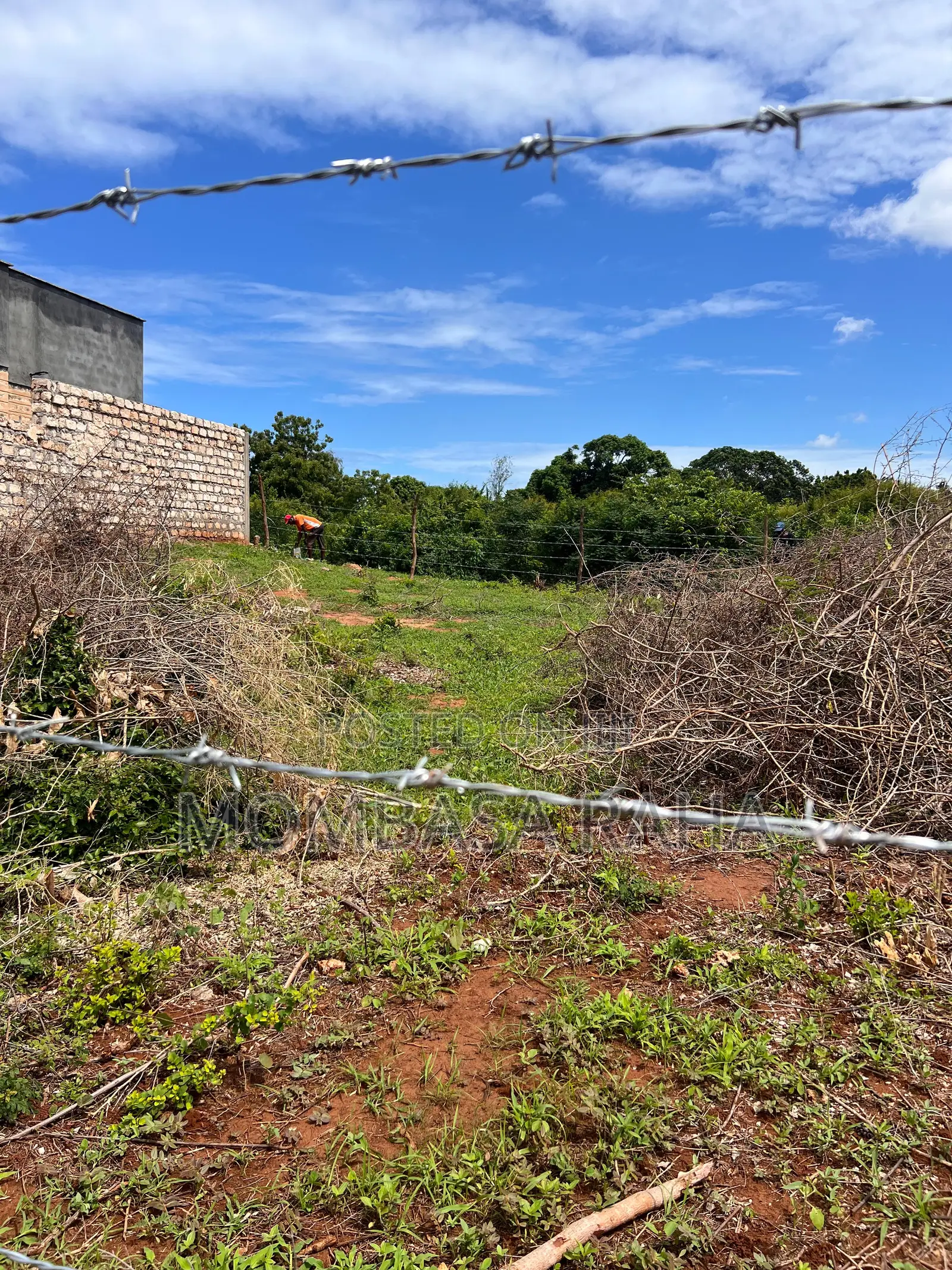 3rd Row Beach Plots for Sale Kilifi Bofa.
