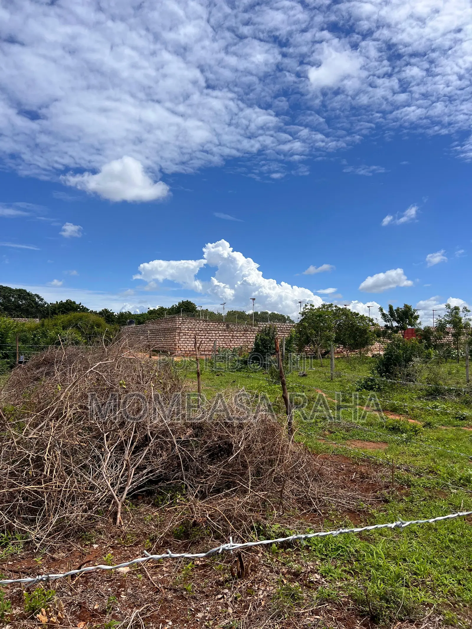 3rd Row Beach Plots for Sale Kilifi Bofa.