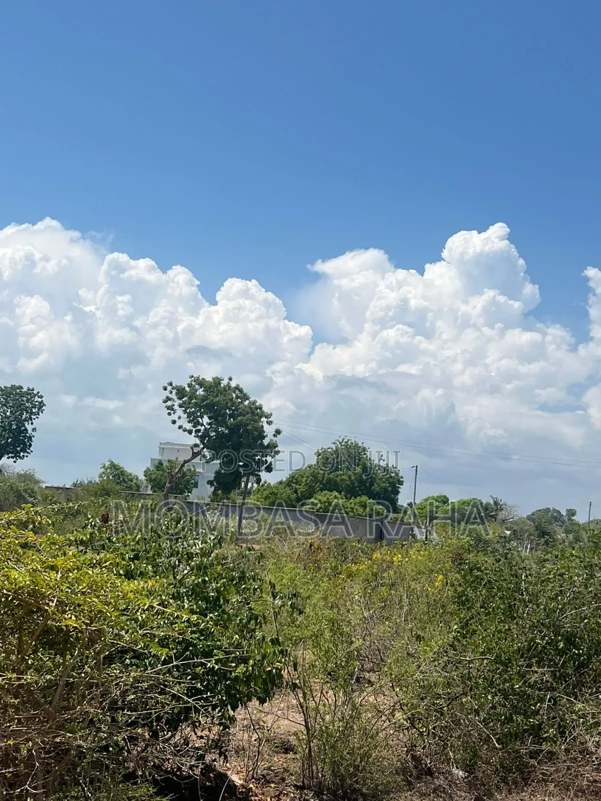 3rd Row Beach Plots for Sale Kilifi Bofa.