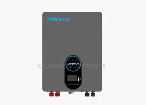 2.5kwh 24v 100ah Infinisolar Lifepo4 Lithium Battery