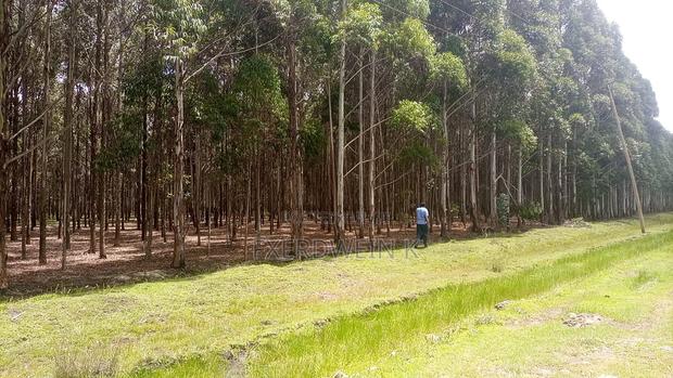 271 Acres• Price: Kes 1.4m Per Acre.Nyandarua County--Ol Karu.