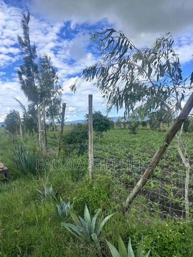 Konza City Plor for Lease
