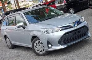 Toyota Corolla Fielder 2019 Silver