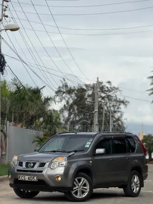 Nissan X-Trail 2.0 Petrol FWD 2013 Gray