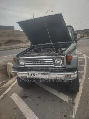 Toyota Land Cruiser 1991 Green