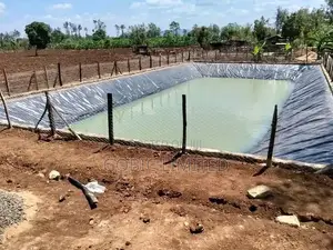 Fish Pond Construction