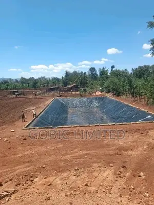 Fish Pond Construction