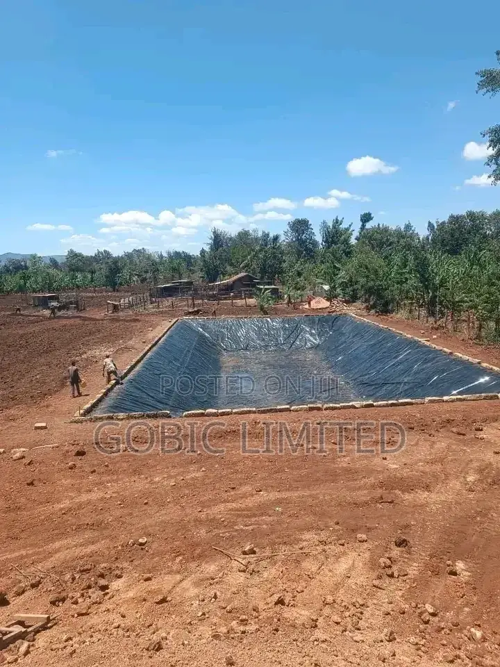 Fish Pond Construction