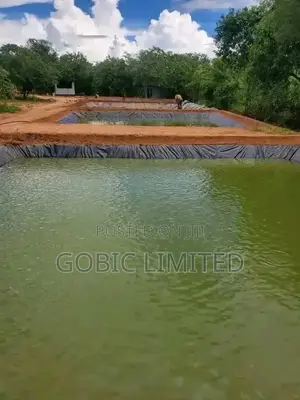 Karen Fishpond Contractors