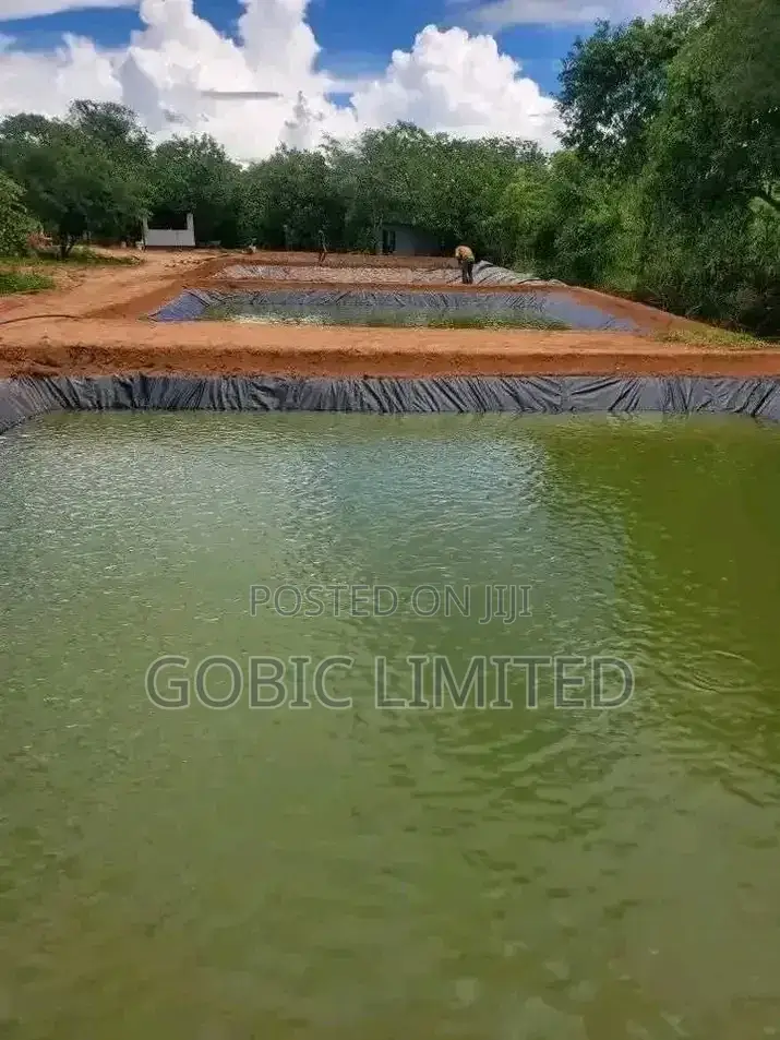 Karen Fishpond Contractors