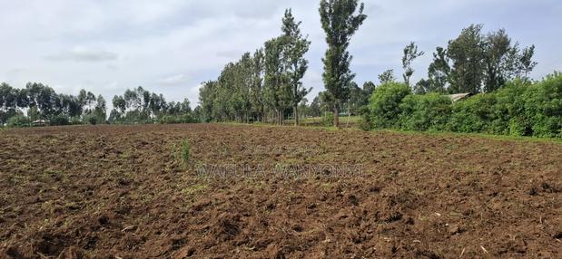 2 Acres 3/4 Mateka Bungoma - thumbnail 2