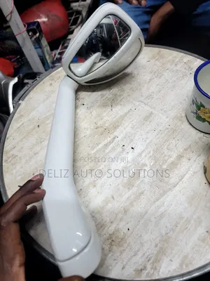 Toyota Prado 165 Wingmirror