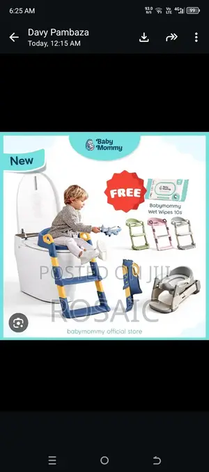 Kids Toilet Ladder Seat