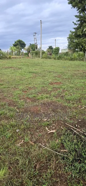 50 X 100 Plot for Sale at Karatina Jambo