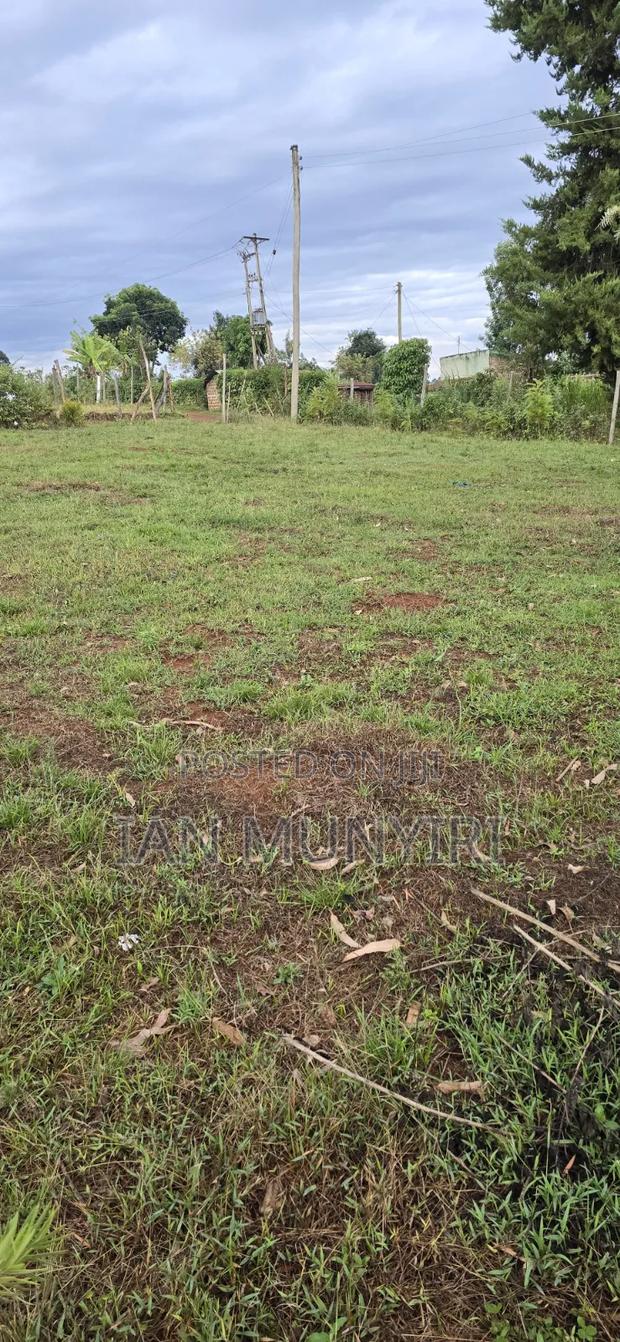 50 X 100 Plot for Sale at Karatina Jambo
