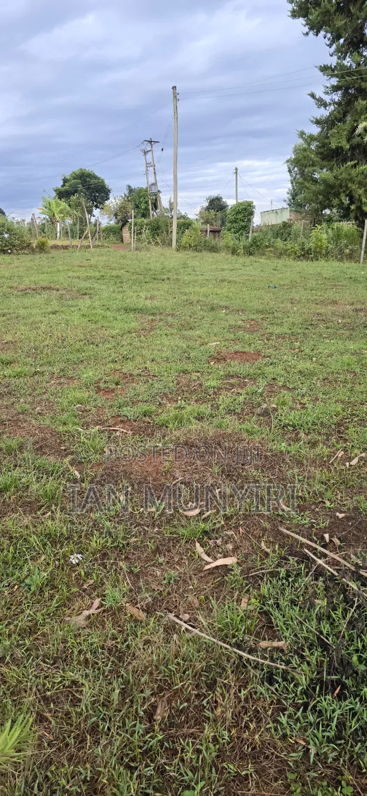 50 X 100 Plot for Sale at Karatina Jambo