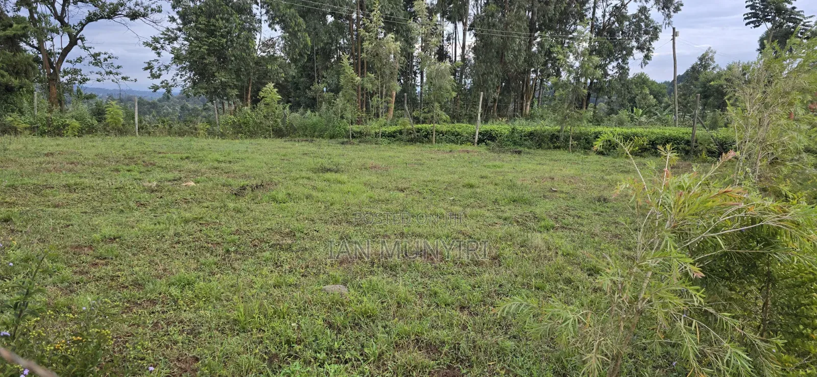 50 X 100 Plot for Sale at Karatina Jambo