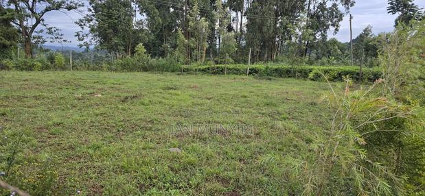50 X 100 Plot for Sale at Karatina Jambo - thumbnail 2