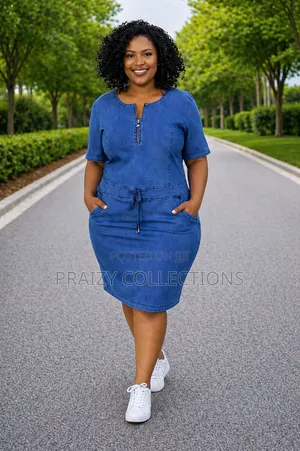 Denim Straight Dress
