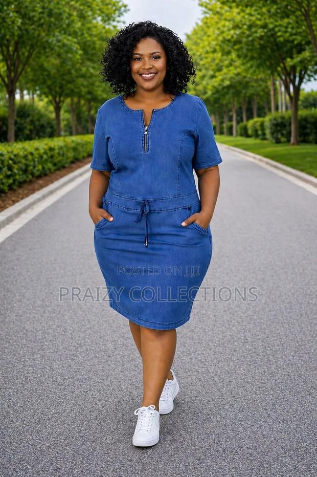 Denim Straight Dress