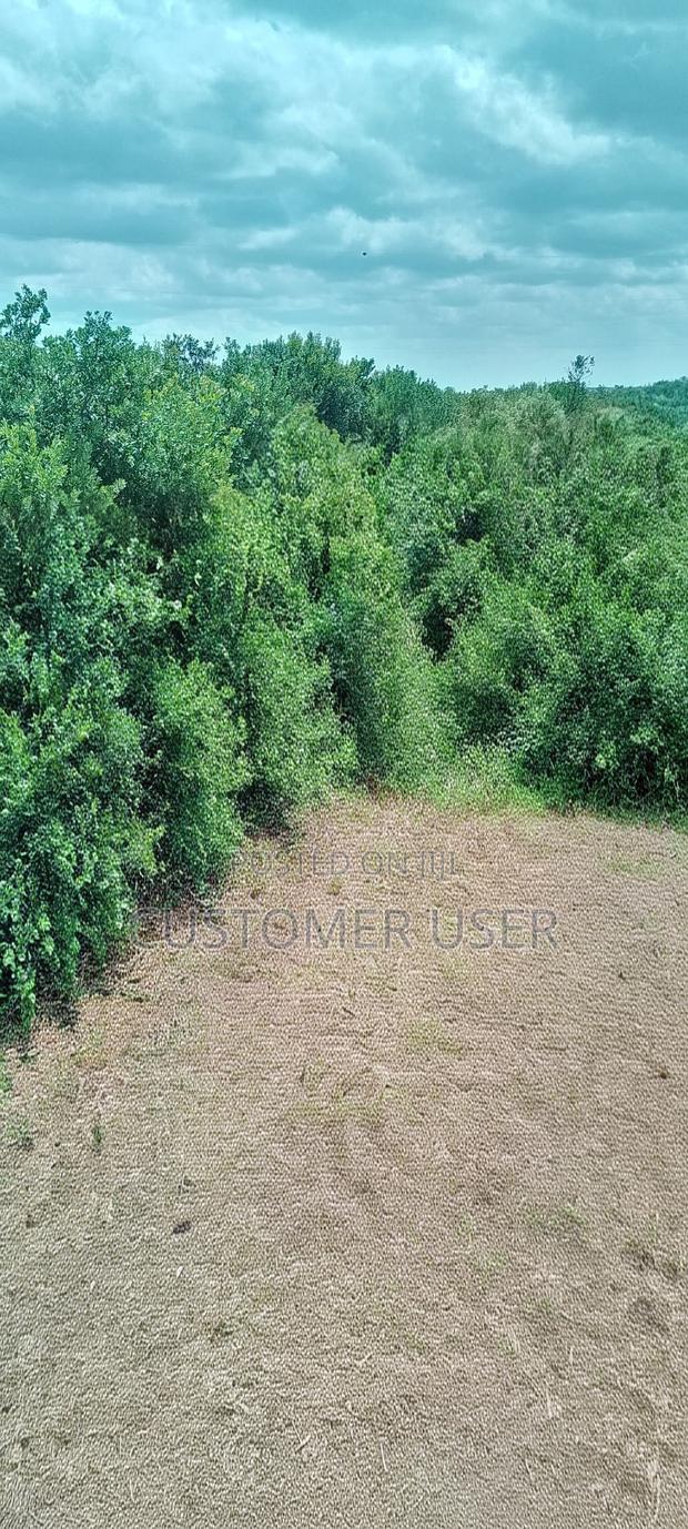 Lease a Farm in Nanyuki for Farming