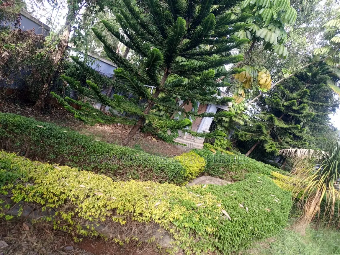 Furnished 4bdrm Mansion in Utawala for sale