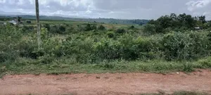 Thika Ngoliba 1 Prime Acre
