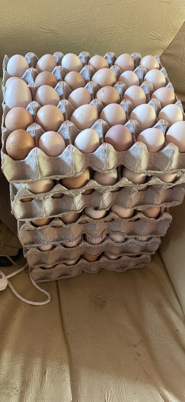 Pure Kienyeji Eggs