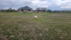 Thika Muthaiga Affodable Plots