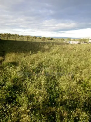 Available 3 Acre Land for Sale in Kajiado County at Ngatatek