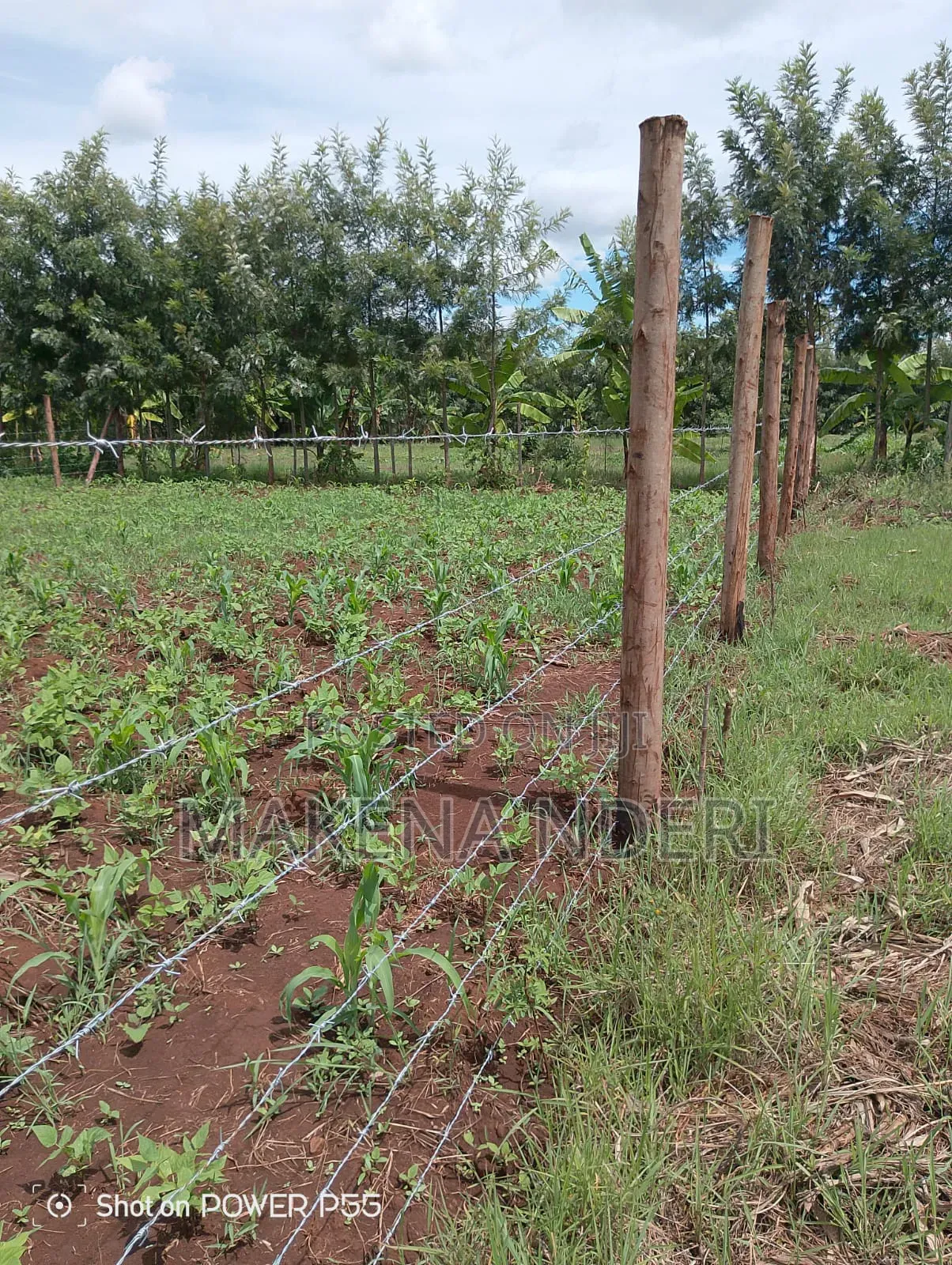50*100 Plot at Kiaga/ Kirimunge/ Njega/ Baricho Junction