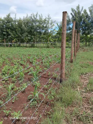 50*100 Plot at Kiaga/ Kirimunge/ Njega/ Baricho Junction