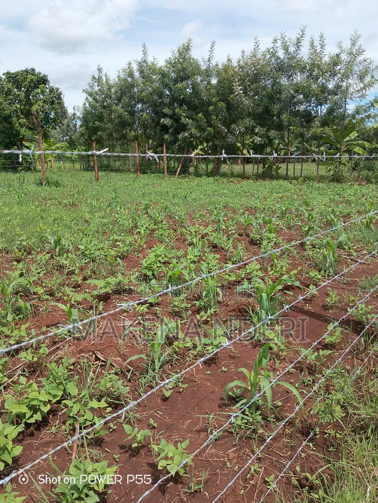 50*100 Plot at Kiaga/ Kirimunge/ Njega/ Baricho Junction