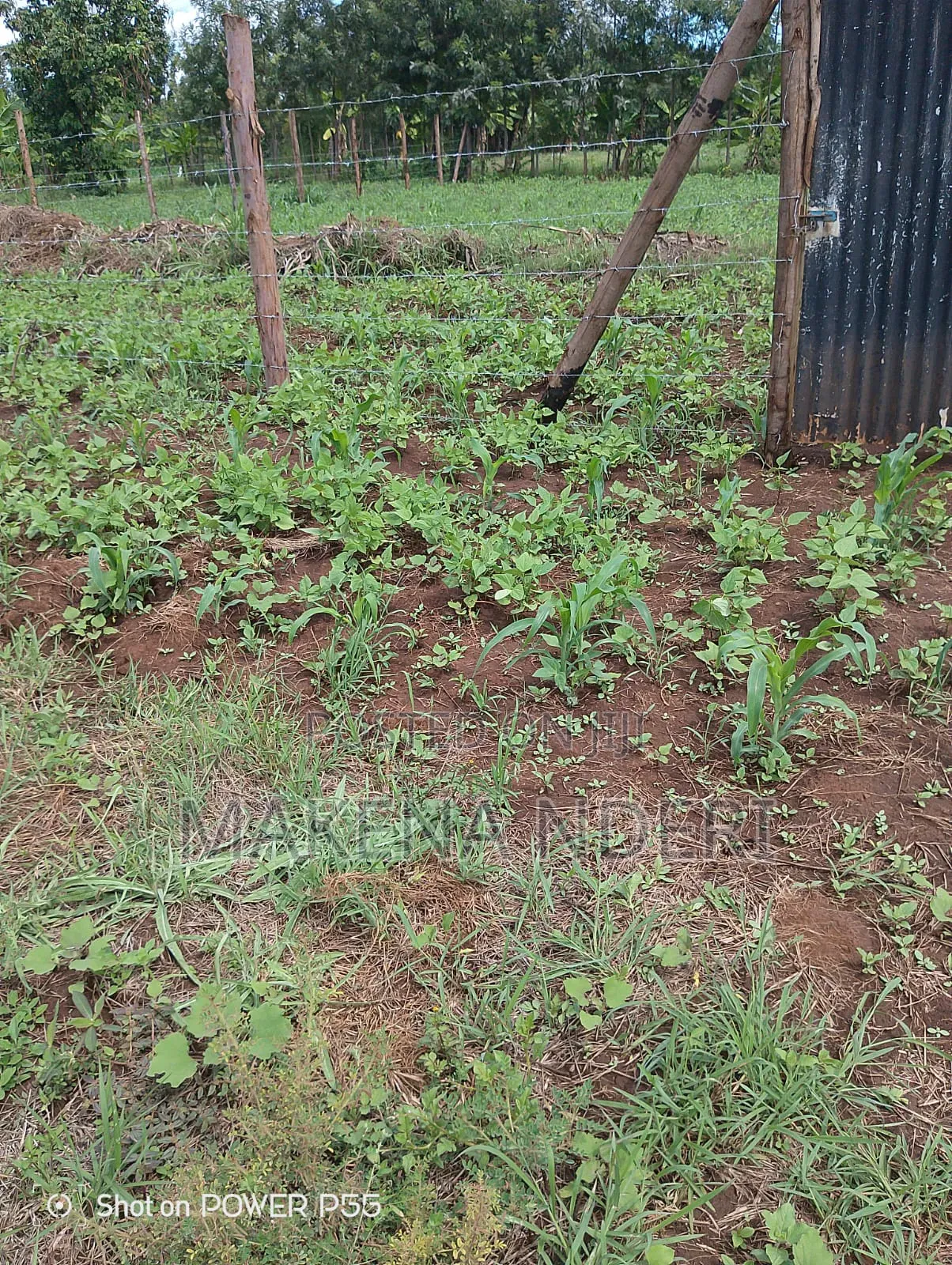 50*100 Plot at Kiaga/ Kirimunge/ Njega/ Baricho Junction