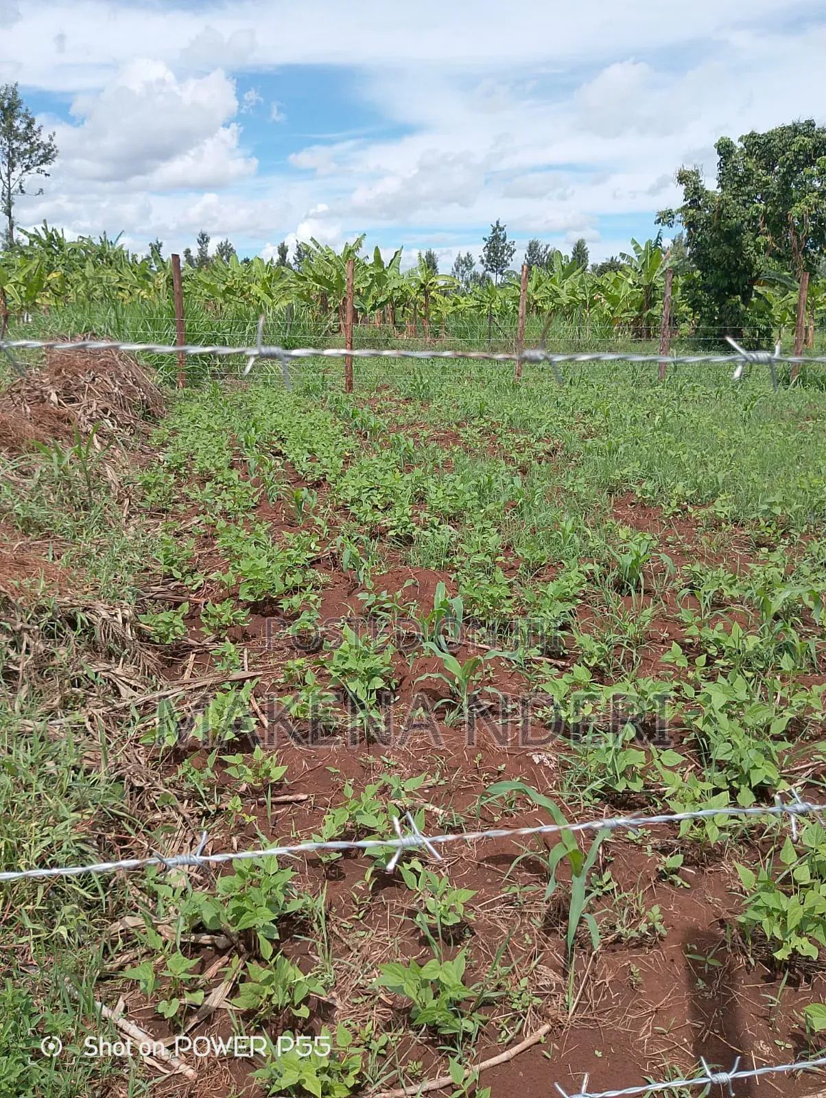 50*100 Plot at Kiaga/ Kirimunge/ Njega/ Baricho Junction