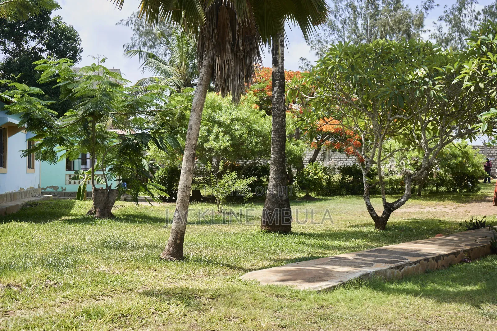 Diani Comfy Studio