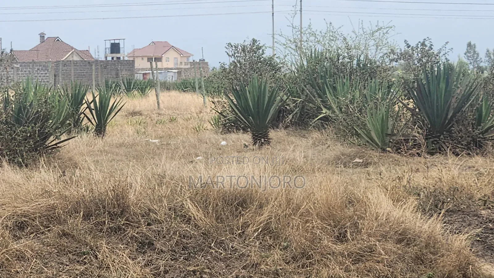 Residential Plots 50by100 Juja