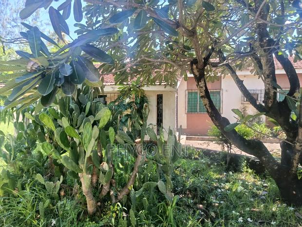 Three Bedroom Bungalow for Sale - thumbnail 6