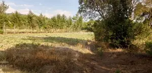Land and Plot