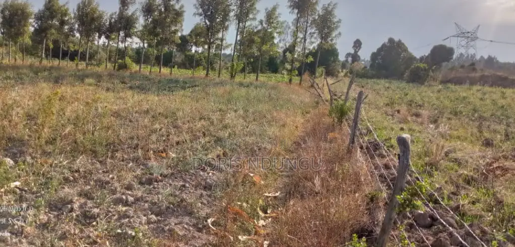 Land and Plot