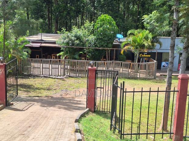 Developed 1/4acre Land for Sale Rongo - thumbnail 6