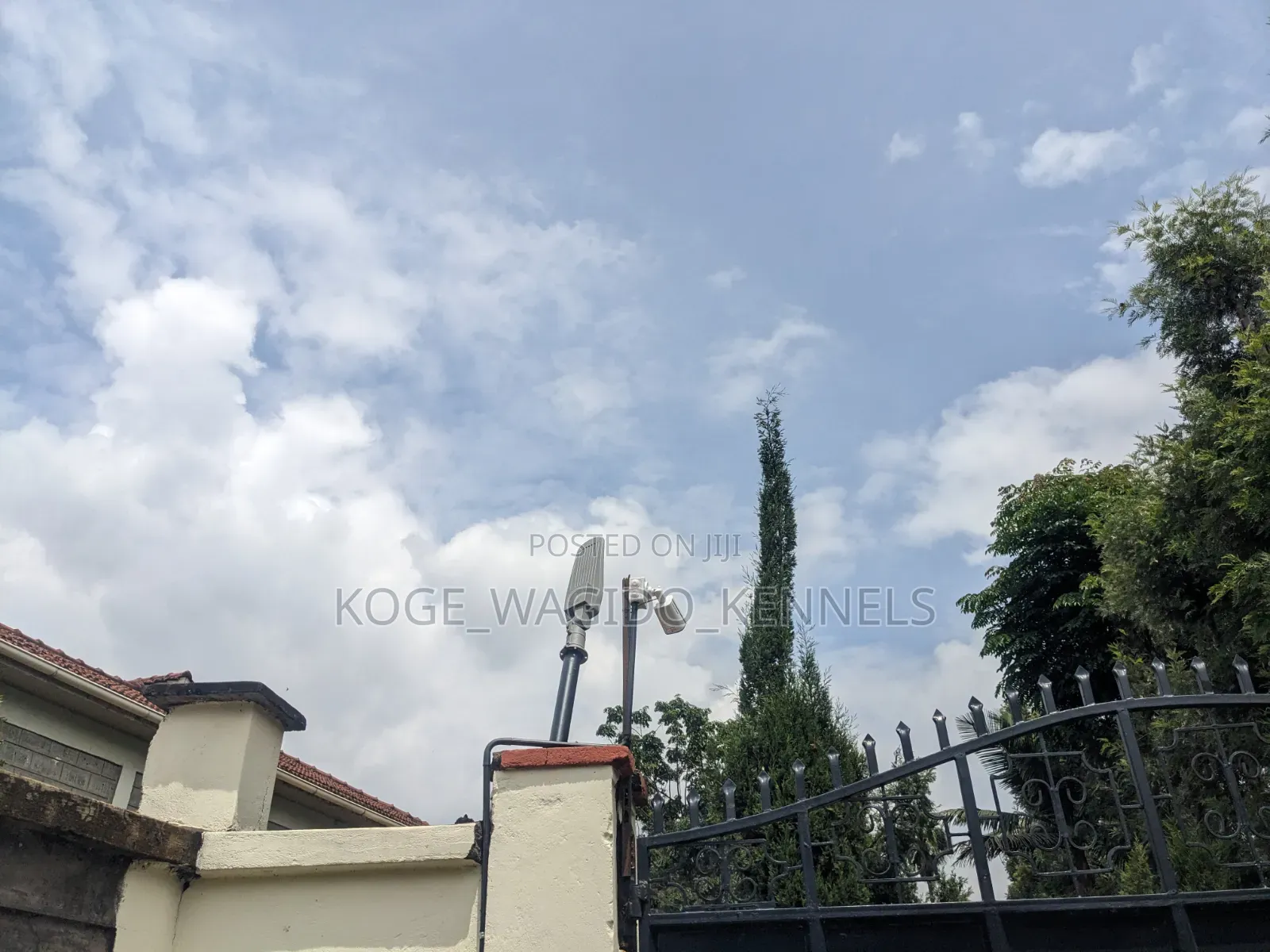 1bdrm Bedsitter in Thome for rent