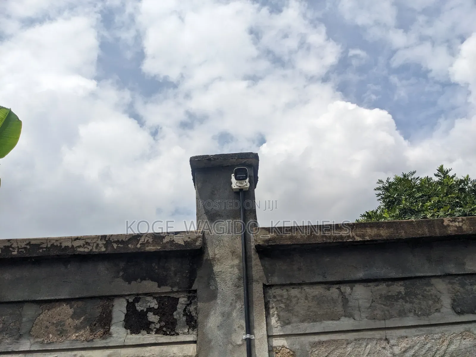 1bdrm Bedsitter in Thome for rent
