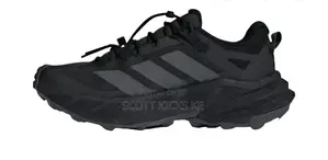 Adidas Terrex Hiking Shoes