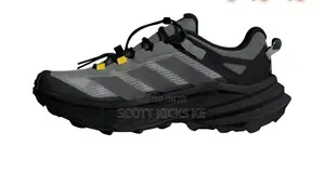 Adidas Terrex Hiking Shoes