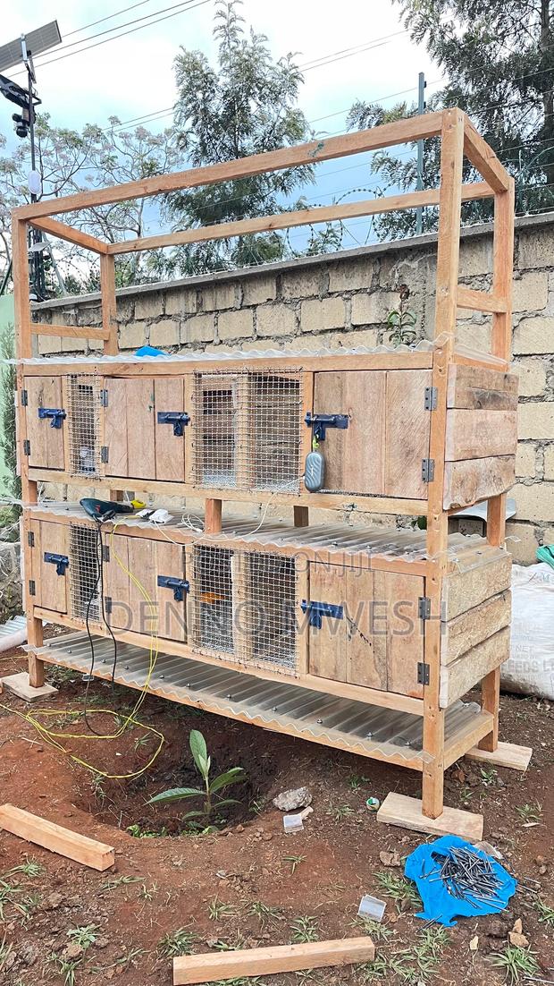 Rabbit Cage / House - thumbnail 17